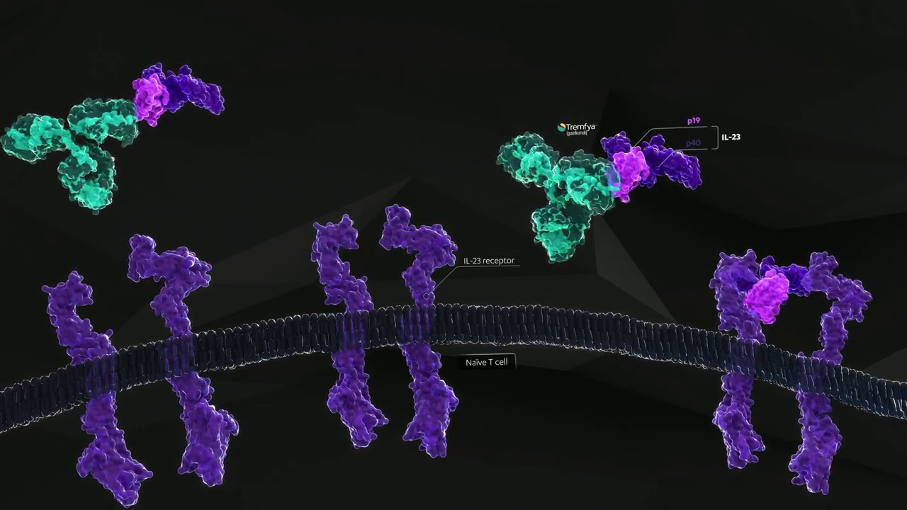 How Tremfya (guselkumab) Works in Plaque Psoriasis