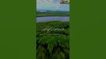 قال الله هذا يوم ينفع الصادقين صدقهم لهم جنات تجري من تحتها الأنهار سورة المائدة  الشيخ ياسر الدوسري