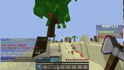 Hacker on Mineplex? Super Smash Mobs.