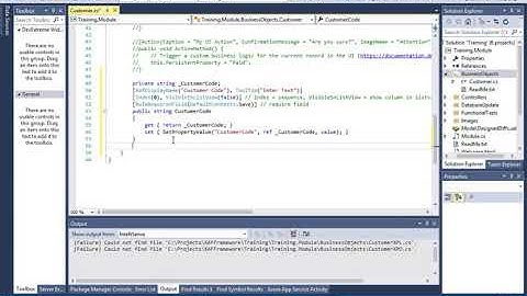 [Learn DevExpress in 3 hours] 02 Create Customer