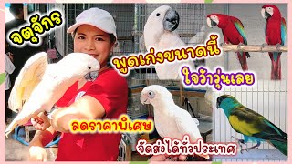 อัปเดตราคานก จตุจักร ร้านPet Ex ลดราคาพิเศษ จัดส่งได้ทั่วประเทศ