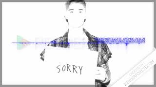 Sorry( Reggae Remix 2017)