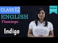 indigo class 12 in hindi | WITH NOTES