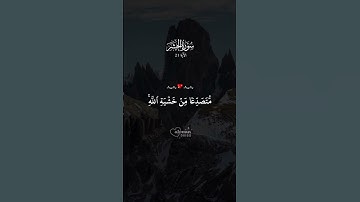 الآية 21 من سورة الحَشر  أرح قلبك قل استمع إلى تلاوة خاشعة من القرآن الكريم تساعد على التدبر والخشوع