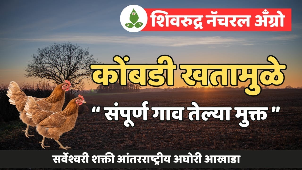 कोंबड खत, गोमूत्र आणि निसर्गाची शक्ती — शेतकऱ्यांचे गैरसमज दूर! | Shiv Rudra Natural Agro