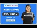 L19: NCERT Diagrams | Evolution | Pre-medical - NEET/AIIMS | Ritu Rattewal