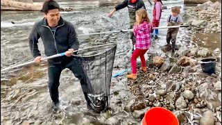 Oregon Smelt Dipping 2023 - Sandy River Smelt Rush