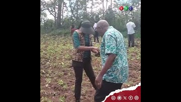 Tree planting exercise at Kobujoi Forest in Nandi County
