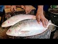 Perfect Hilsa (ilish) Fish Cutting | Fish Cutting In Bangladesh