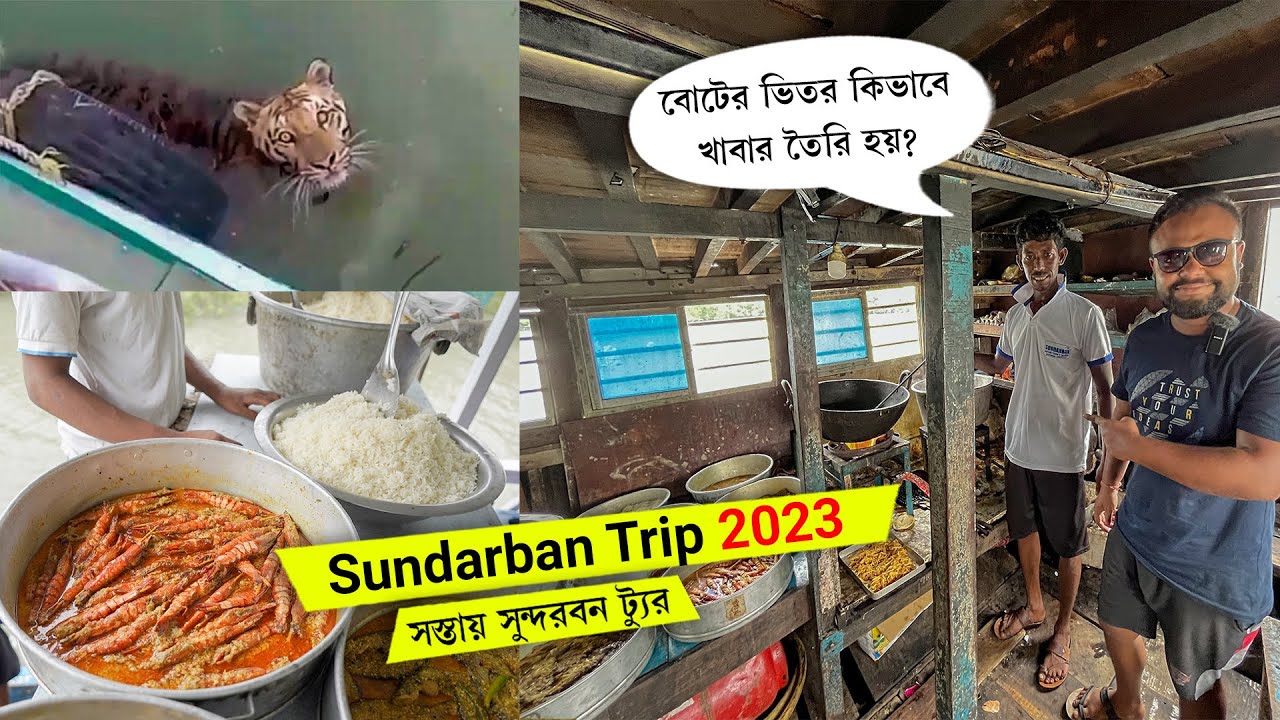 কুকুরের কামড়ে অন্য ভাবে সুন্দরবনে 😶 কম খরচে সুন্দরবন Complete Low Cost Sundarban Tour Plan 2023