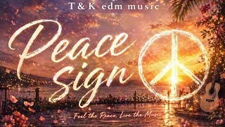T&amp;K edm music FreeSONG「Peace sign」