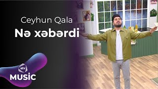 Ceyhun Qala - Nə xəbərdi Resimi