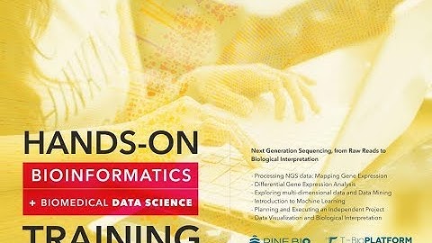 Hands-on training in Bioinformatics  Lecture 3  Processing NGS data  part 2
