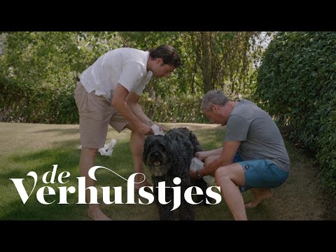 De Verhulstjes - Youtube