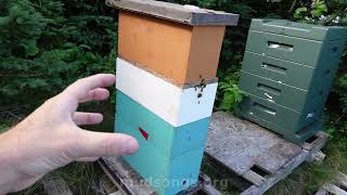 Triple Decker 5-Frame Medium Nuc