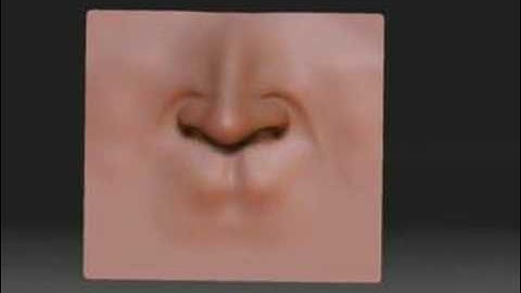 Zbrush Nose Modeling