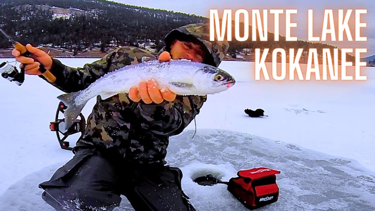 Ice Fishing Kokanee Monte Lake BC with Tungsten Jigs 