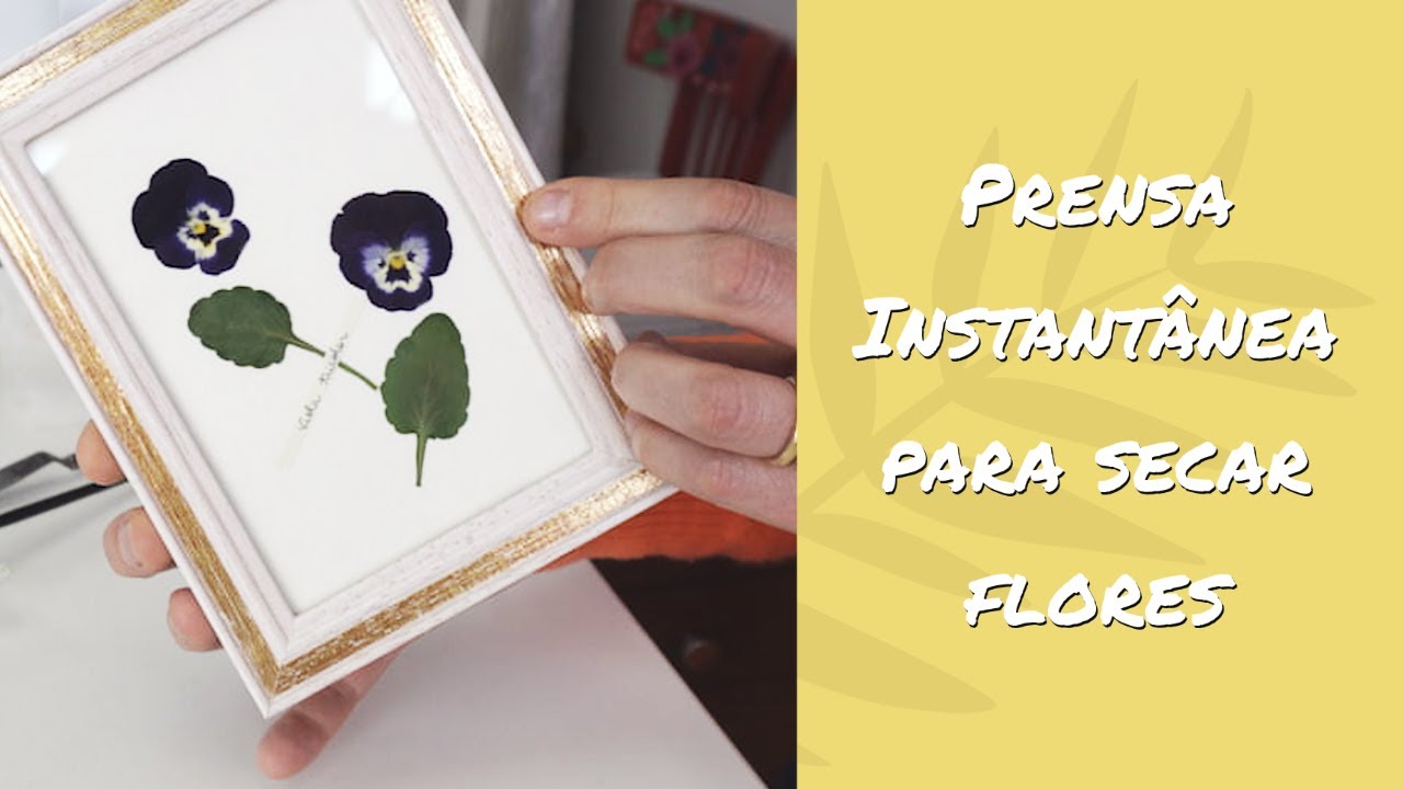 Prensa Instantânea para Secar Flores