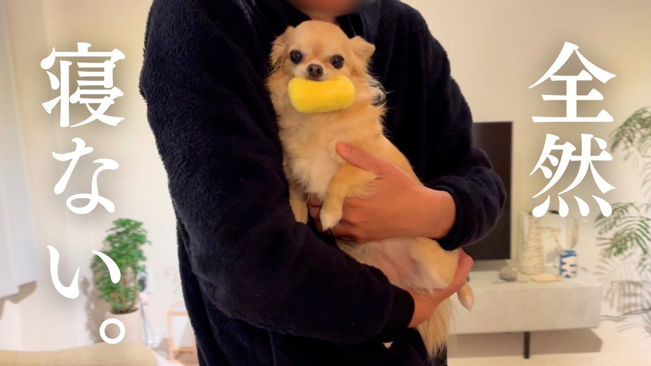 にこちゃん oEeEQwITBGAgwCAPAeLqGGjAOR8ALJ