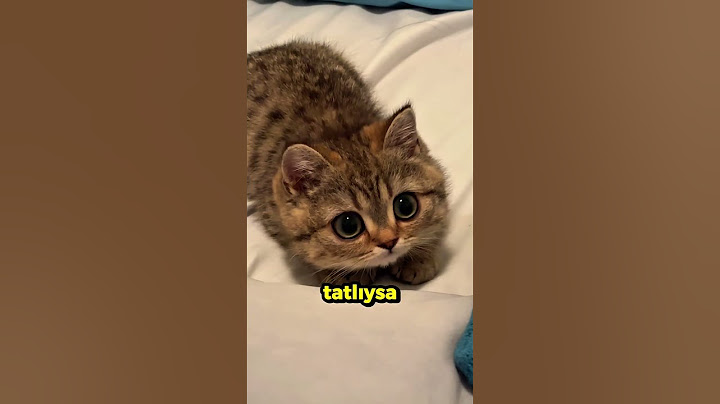 Herkesi Kandırdığı Viral Olan Edit Böyle Çekilmiş..