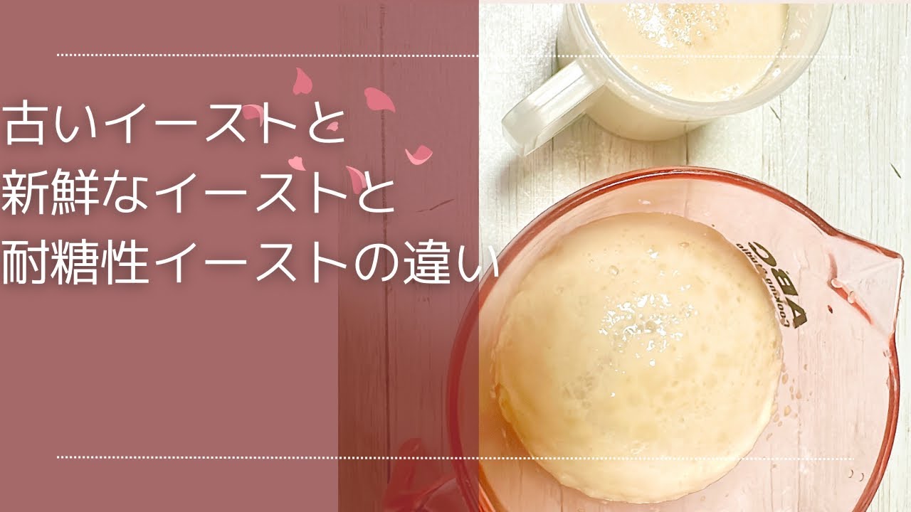 【検証動画】古いイーストと新鮮なイーストはどう発酵力が違うのか＆耐糖性イーストは本当に耐糖性なのか