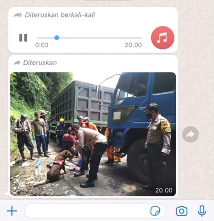 Viral Ngeprenk S Indonesia√ Orang yang hilang di cadas pangeran sumedang #shorts #storywa #viral