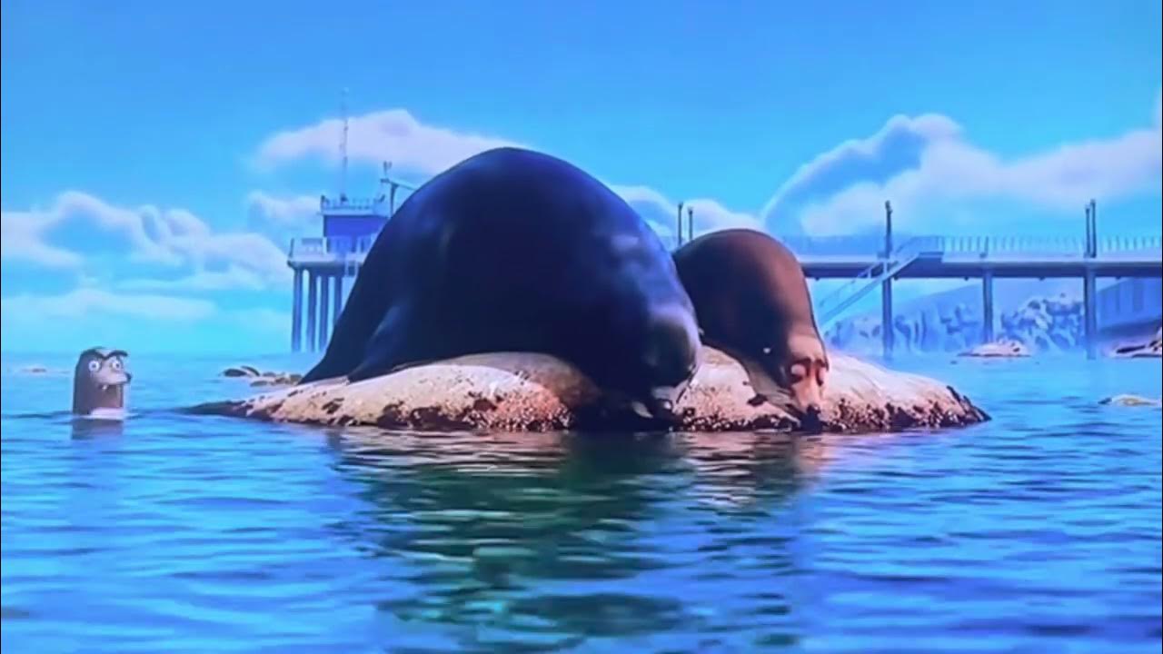 Barking seals YouTube