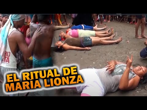 Vídeo: El santuari de peresos més important del Brasil
