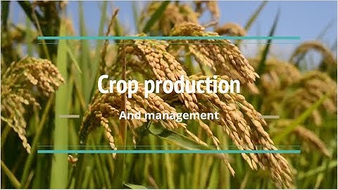 Crop Production And Management || Class VIII Biology || Part 1