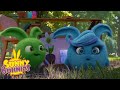 Videos For Kids | SUNNY BUNNIES - MAGIC ERASER | Sunny Bunnies