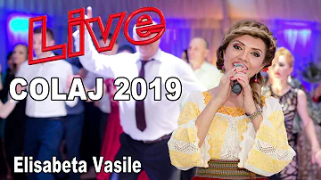 ELISABETA VASILE || COLAJ NOU 2019 || MUZICA DE PETRECERE 2019 || HORE SI SARBE 2019