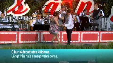 Thumbnail of Måns Zelmerlöw - Danspotpurri (Allsång på Skansen)