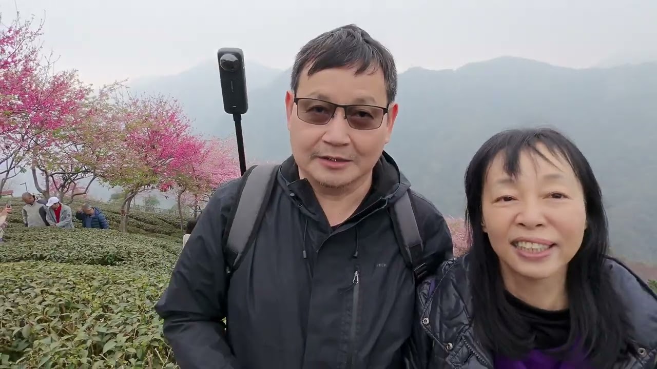 [DuDu&Pig]20260209八卦茶園賞櫻