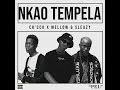 Chicco, Mellow & Sleazy - Nkao Tempela (Official Audio)