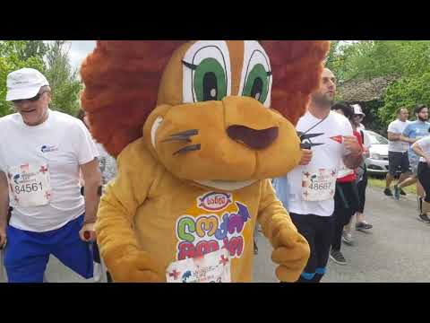 ლოკო მოკო Wings For Life World Run-ზე