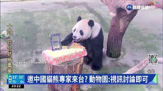 大貓熊團團服藥後病況穩定 最快下周二見客|華視新聞 20221012
