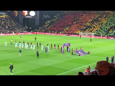 Watford - Vicarage Road
