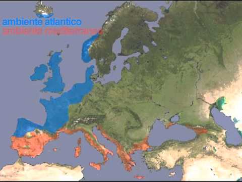 Europa - climi e ambienti - YouTube