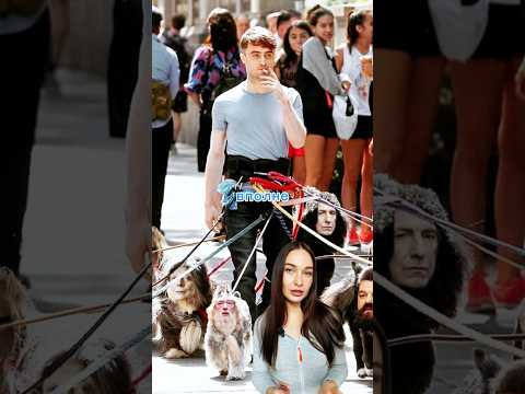 Многодетный отец. Сколько собак у Дэниела Рэдклиффа? #гаррипоттер #фильмы #кино #сериал #собака #рек