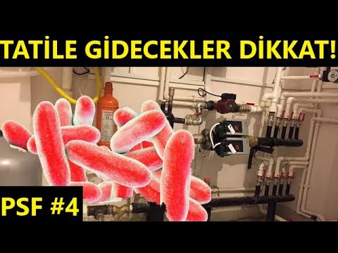 MÜSTAKİL EV SAHİPLERİ BU BAKTERİ SİZİ DE ÖLDÜRMESİN! PSF #4