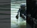 Cobra Commando #militaryfact #indiancommandos #cobracommando #commando #indianarmy
