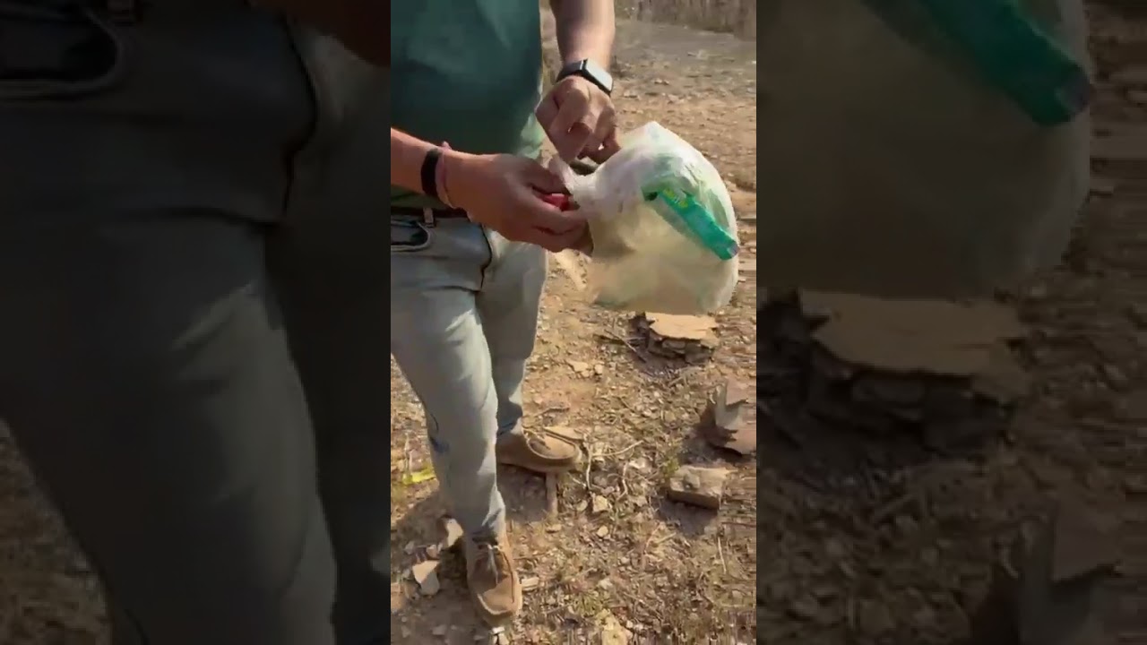 जंगल बचाओ 