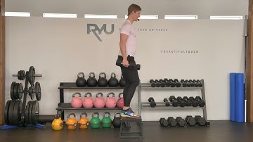 How to Do Dumbbell Step Up  | Step Up Workout for Beginners | Dumbbell Step Ups Exercises