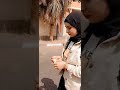 نتيجه الجامعه وانا راحه نتيجه الجامعه وانا راحه