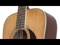 Video: EPIPHONE SONGMAKER DR-212 12 CORDE - NATURAL