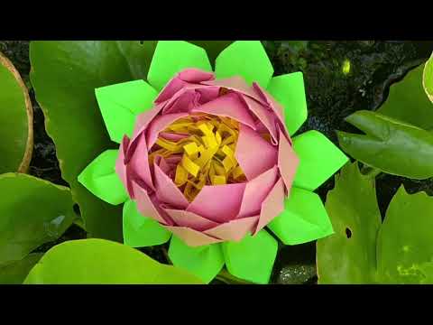 Video: Kako Napraviti Lotus Od Origami Modula
