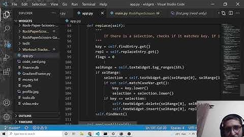 Python 3 Tkinter Find and Replace Text in all Occurences Widget GUI Desktop App Full Project