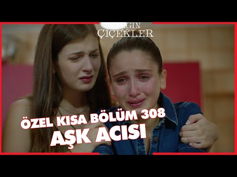 Kırgın Çiçekler Özel Kısa Bölümler | 308