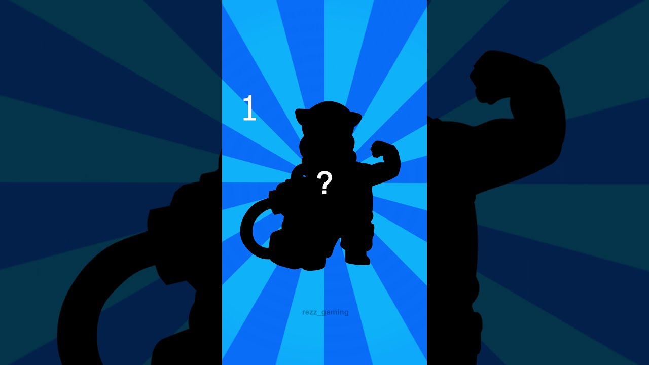 Who is that brawler? #47 