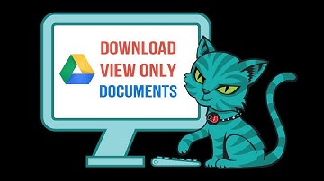 How to Download View Only PDF from Google Drive